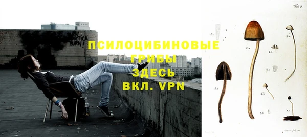 а пвп мука Медвежьегорск