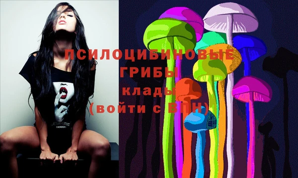 а пвп мука Медвежьегорск