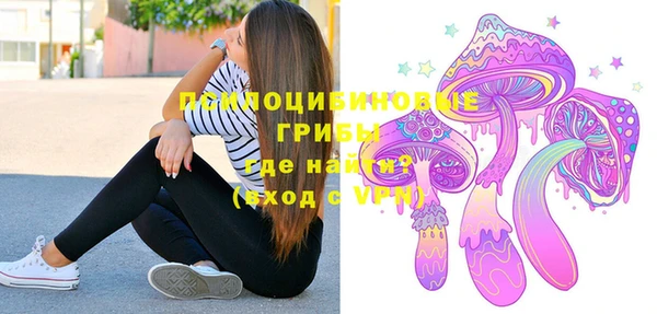 а пвп мука Медвежьегорск