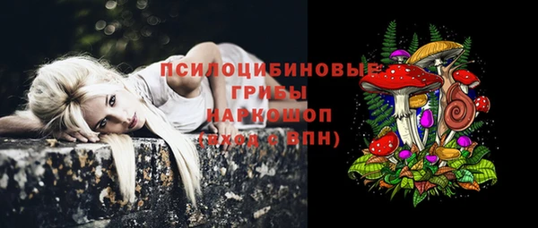 а пвп мука Медвежьегорск