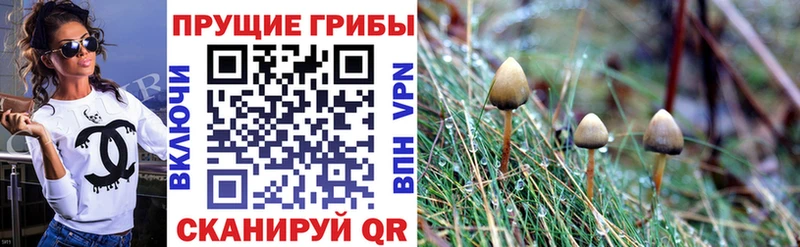 Псилоцибиновые грибы прущие грибы  дарнет шоп  Ильский 